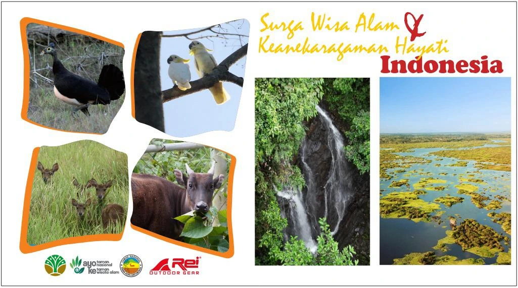 Surga Wisata Alam & Keanekaragaman Hayati Indonesia